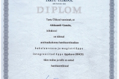 Diploma 2010 year